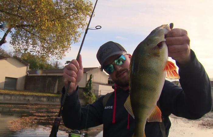 Sie betreiben „Street Fishing“ oder Urban Fishing und sind Mannschaftsweltmeister geworden