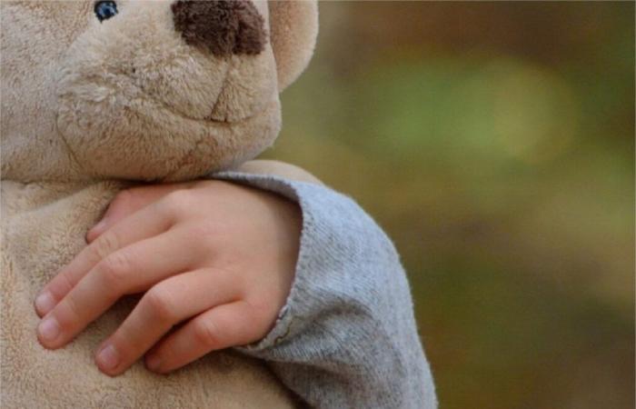 Von Lot-et-Garonne aus verkaufte er im Internet gefährliche Stofftiere für Kinder