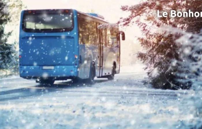 Störungen in Schulbussen am Freitag, 22. November