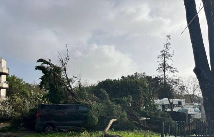 Sturm Caetano. Mittags 26 Einsätze der Feuerwehr in der Loire-Atlantique