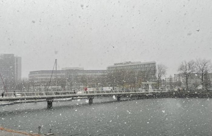 Wetterbericht. Alarmstufe Orange in Seine-Maritime: Endlich schneit es in Le Havre