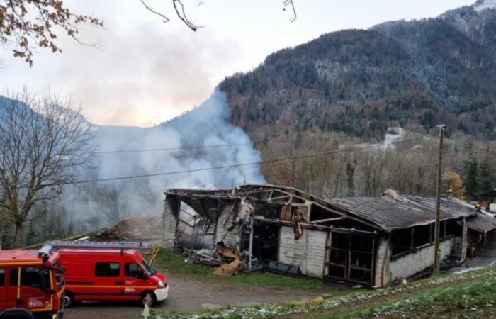 Haute-Savoie. 215 Ziegen sterben bei Farmbrand