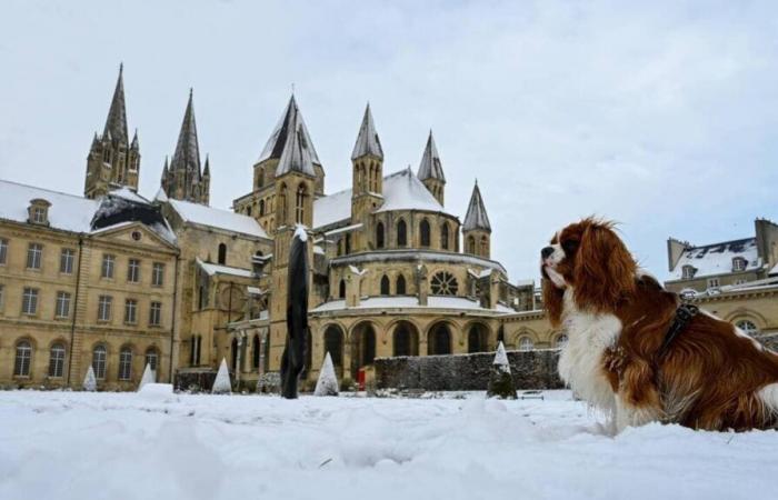 Schnee. Sturm Caetano erreicht den Westen, schicken Sie uns Ihre Fotos