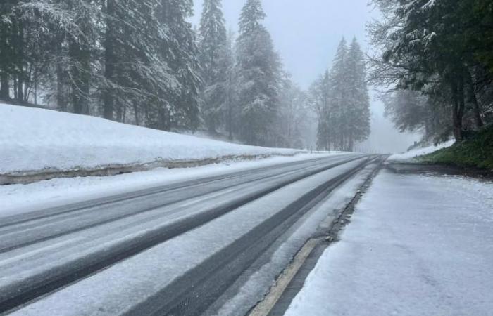 Kanton Uri – Starker Schneefall führt zu Verkehrsbehinderungen auf der A2