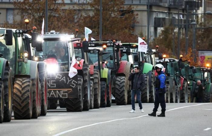 Live – Wut der Landwirte: Ministerin Annie Genevard präsentiert vor Ort, die ländliche Koordinierung ist immer noch mobil