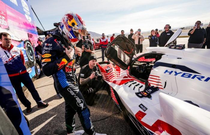 Le Mans und Daytona im Visier von Max Verstappen