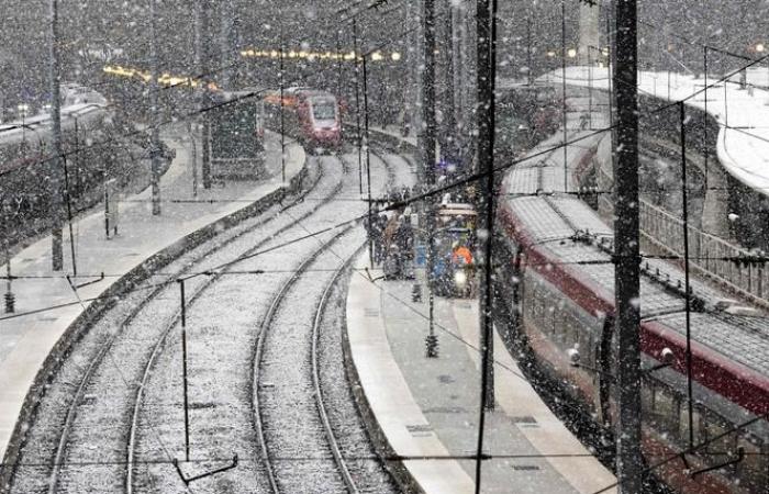 Die Pariser ziehen sich warm an, während der Winter in der französischen Hauptstadt Einzug hält