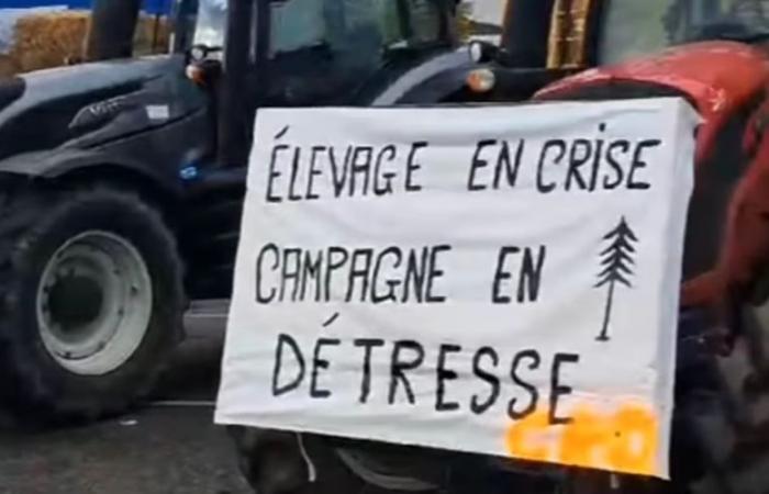 VIDEO – Wut der Bauern. „Wir haben den Parkplatz für sie gefüllt“: Die Aveyron Rural Coordination blockiert einen Bahnsteig im Tarn