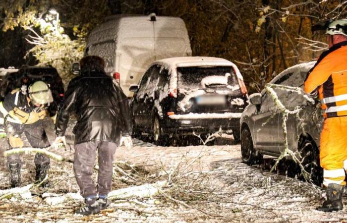 “Gefahr für Leib und Leben” – Deutscher Wetterdienst warnt vor Schneestürmen