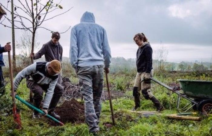 Die RSA-Reform schwächt die Landwirte