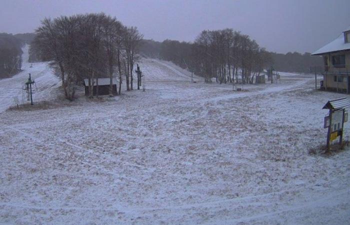 KARTE. Wetter: Sturm Caetano trifft Frankreich, zwölf Departements in Okzitanien in Alarmstufe Gelb wegen Wind oder Schnee, was ist diesen Donnerstag zu erwarten?