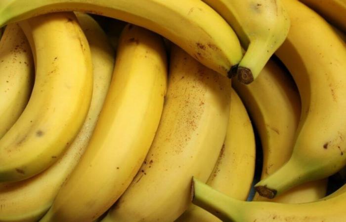 Nachhaltige Banane zum fairen Preis: Händler stellen sich ihrer Verantwortung