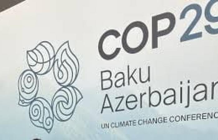 COP29: Welche Zukunft haben Umweltschützer in Afrika? | APAnews