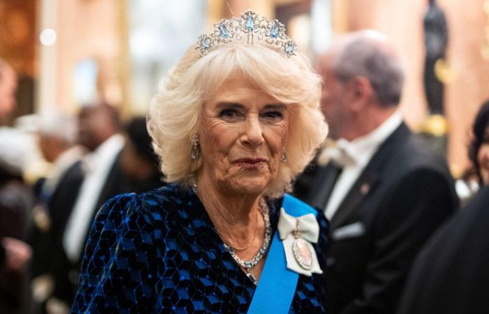 Camilla Parker Bowles: Nach einer Krankheit taucht die Frau von Karl III. wieder auf und bringt alle zur Einigung