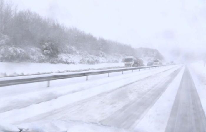 Autofahrer blieben mehrere Stunden lang auf der A84 im Ärmelkanal stecken