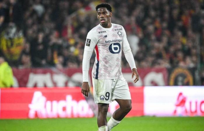 Olivier Létang spricht über die Zukunft von Jonathan David bei Losc