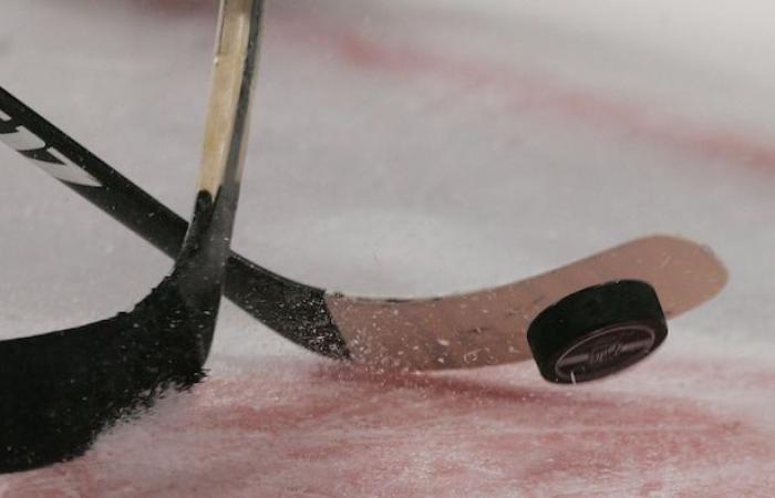 Schlägerei während eines kleinen Eishockeyspiels in Gatineau: Eine ganze Mannschaft wird gesperrt