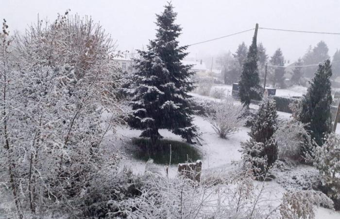 IN BILDERN. Das Land Flers erwacht unter dem Schnee: eine Weihnachtsdekoration