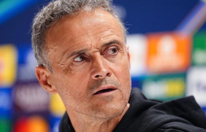 PSG: Ein Comeback nimmt Gestalt an, Luis Enrique reibt sich die Hände