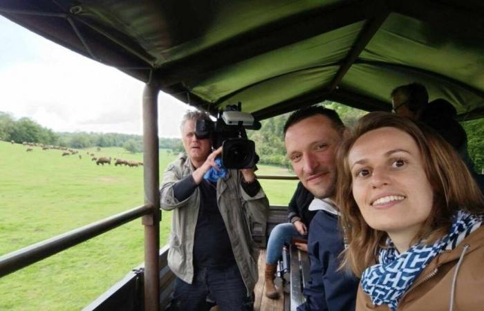 Rêve de Bison begrüßt einen Kandidaten von L’Amour est dans le pré in der Nähe von Dieppe