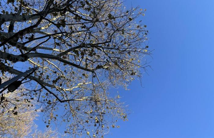 Wetterbericht. Wie ist das Wetter in Hauts-de-France an diesem Donnerstag, den 21. November?