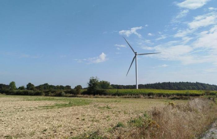 Um die Akzeptanz von Windkraftanlagen zu erhöhen, bietet ein Energieversorger Nachbarn eine Ermäßigung an