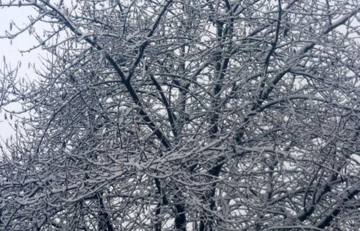 Sturm Caetano. 270.000 Haushalte ohne Strom, 38 Abteilungen in Alarmbereitschaft: den größten Teil des Tages