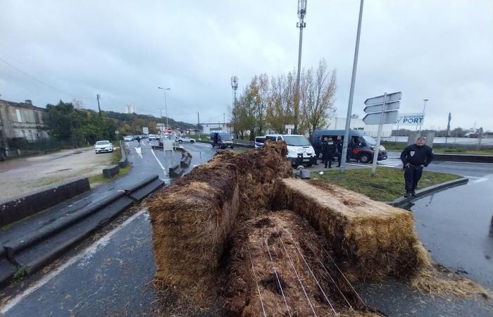 Die ländliche Koordination sollte am Freitagmorgen den Hafen von Bordeaux verlassen