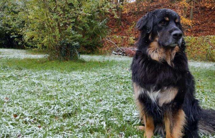 Schnee kommt in Marne und Aisne