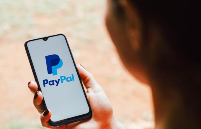 Paypal ist ausgefallen, da sich Tausende Kunden nicht bei ihren Konten anmelden können