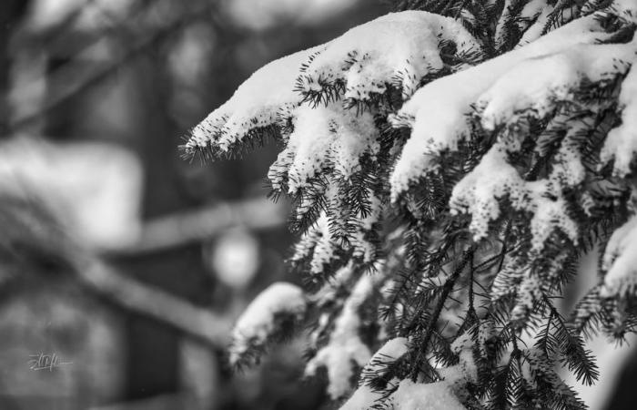 Höhenunterschiede bei der Schneeanhäufung bis Donnerstagnacht und Freitagmorgen