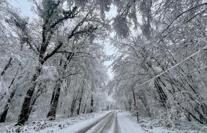 ein sehr seltener Schneetag im November