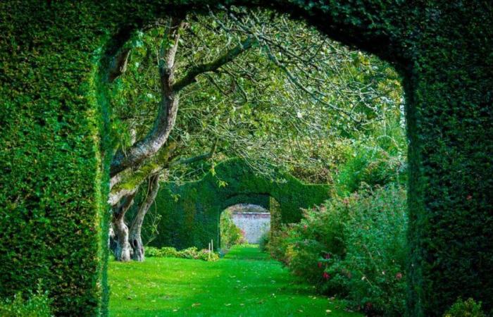 Ein Garten für ein Königreich, von Gwenaële Robert: grünes Paradies