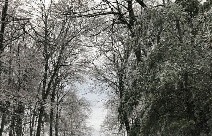 Der Caetano-Sturm hat Frankreich erreicht: 54 Departements sind in Alarmbereitschaft wegen Schnee, Eis und Wind, ein Update der Wettervorhersagen