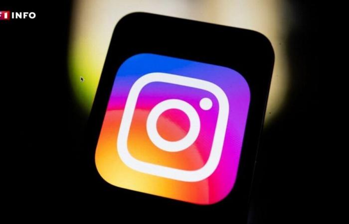 Unerwünschter Inhalt auf Instagram: Bald ein „Reset“-Button