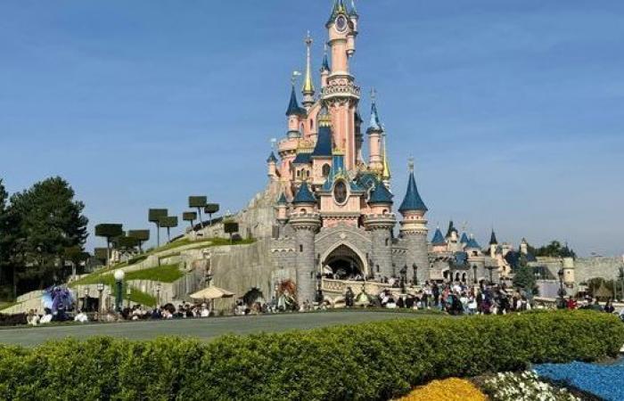 Disneyland Paris: Welche Auswirkungen hat die dynamische Preisgestaltung des Vergnügungsparks?