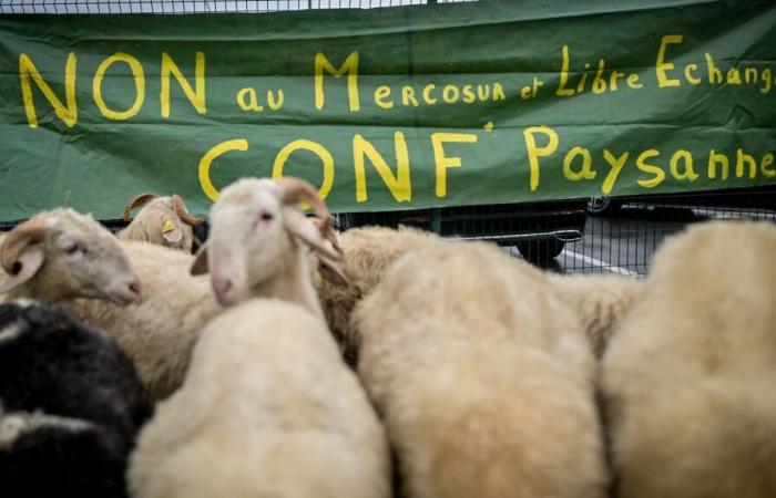 der Landwirtschaftsminister auf einem Bauernhof in Pas-de-Calais erwartet