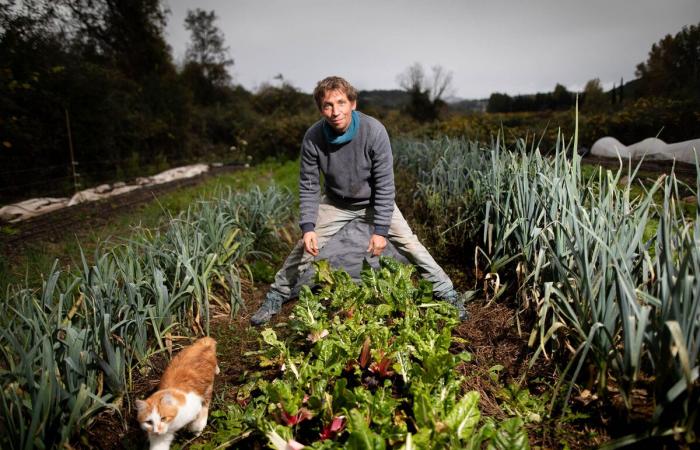 Die RSA-Reform schwächt die Landwirte