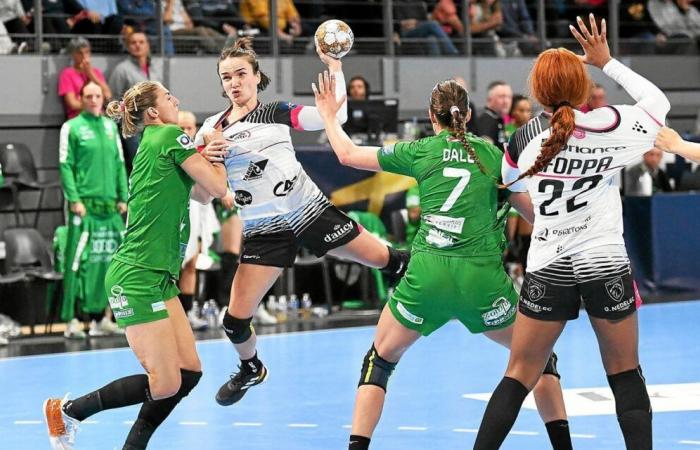 „Der Handball, den wir sehen, gefällt uns sehr gut“: Das verspricht sich beim BBH zu bestätigen