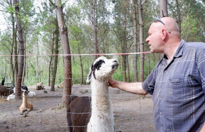 Dieser Tierpark in der Gironde sucht Freiwillige nach Schäden