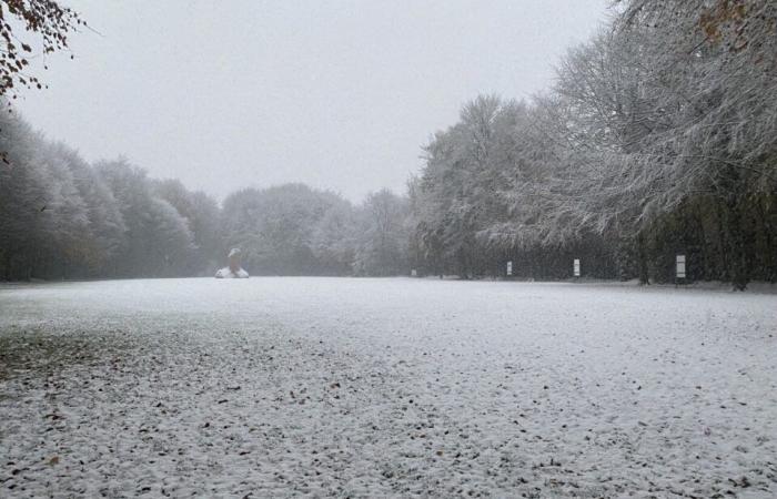 IN BILDERN. Das Land Flers erwacht unter dem Schnee: eine Weihnachtsdekoration