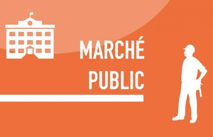 Öffentlicher Markt | Bekanntmachung einer öffentlichen Ausschreibung | OPAC Savoie (73) | Projektmanagement | St. Helene-sur-Isère