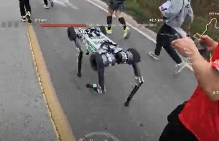 Ein Roboter schafft es als Weltneuheit, in Südkorea einen Marathon zu laufen