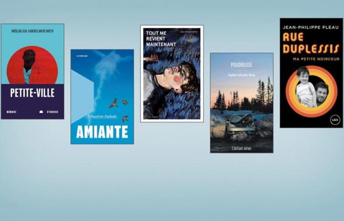 Lasst uns den Literaturpreis für Mittelschüler gewinnen – Revue Les libraires