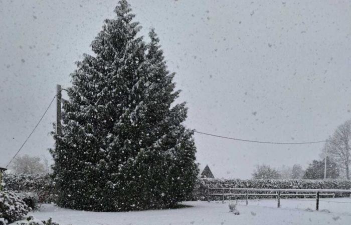 Ihre schönsten Fotos in der Region Pont-Audemer