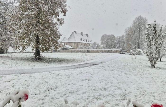 BILDER – Ihre schönsten Fotos von Lothringen unter dem Schnee