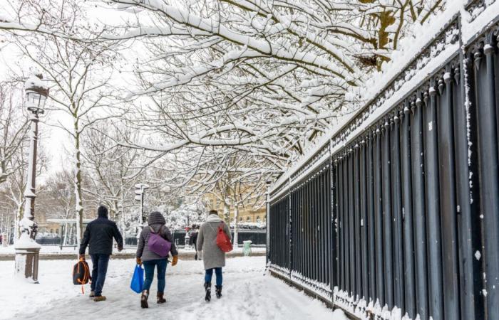 die Pflichten, die die Stadt den Bewohnern auferlegt