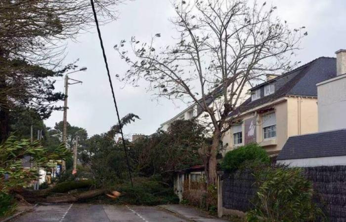 50.000 Kunden ohne Strom, entwurzelte Bäume, mehrere Verletzte