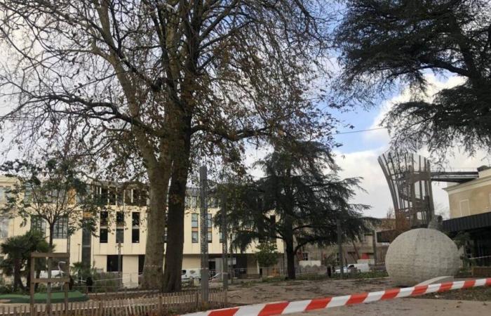 Sturm Caetano. Parks, Gärten und Recyclingzentren sind an diesem Donnerstagnachmittag in La Roche-sur-Yon geschlossen