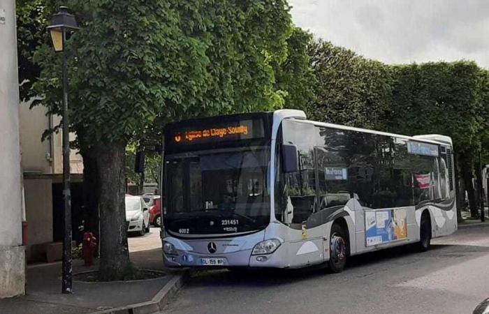 Buslinien bis auf Weiteres eingestellt